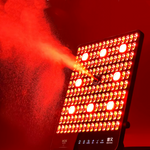 Load image into Gallery viewer, SEAYEO Max LED Photorejuvenation Beauty Device