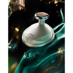 Load image into Gallery viewer, JUJY Fat Burner &amp; Slimming Beauty Device | Multi-Function Body Sculpting Tool JUJY